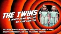 Twins (Online Instructions) by John Morton - Click Image to Close