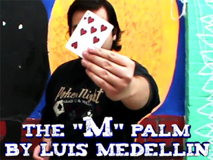 Luis Medellin - The M Palm - Click Image to Close