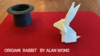 Origami Rabbit by Alan Wong - Click Image to Close