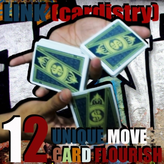LINK (cardistry project) by SaysevenT - Click Image to Close
