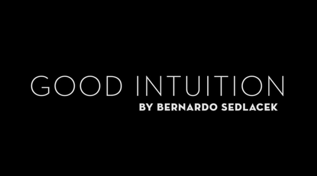 Good Intuition by Bernardo Sedlacek - Click Image to Close