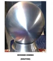 Wonder Zombie routine by Beau Rymers - Click Image to Close