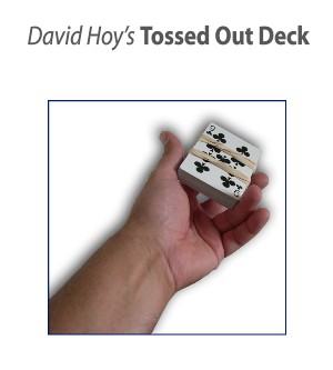 Tossedout - David Hoy - Click Image to Close