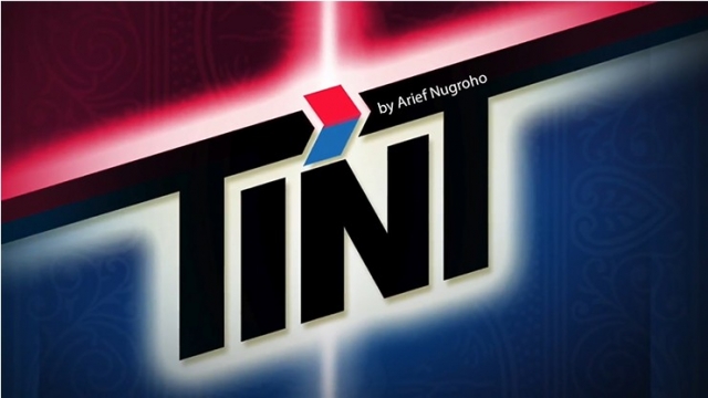 TINT (Online Instructions) by Arief Nugroho - Click Image to Close