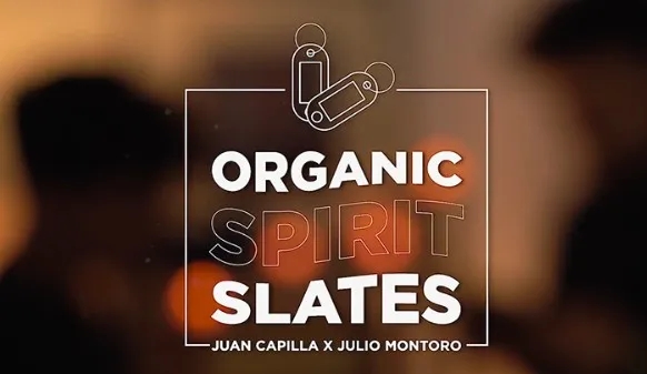 Organic Spirit Slates (Online Instructions) by Juan Capilla and - Click Image to Close