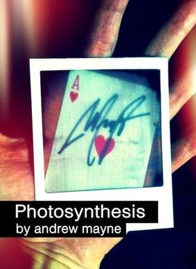 Andrew Mayne - Photosynthesis - Click Image to Close