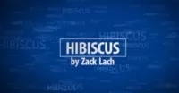 HIBISCUS Magician Zack Lach - Click Image to Close