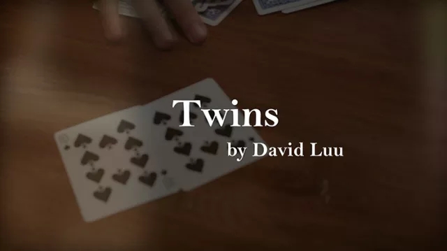 Twins by David Luu video (Download) - Click Image to Close