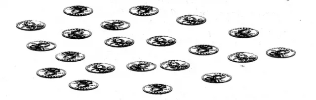 Twenty Coins Mindreading - Click Image to Close