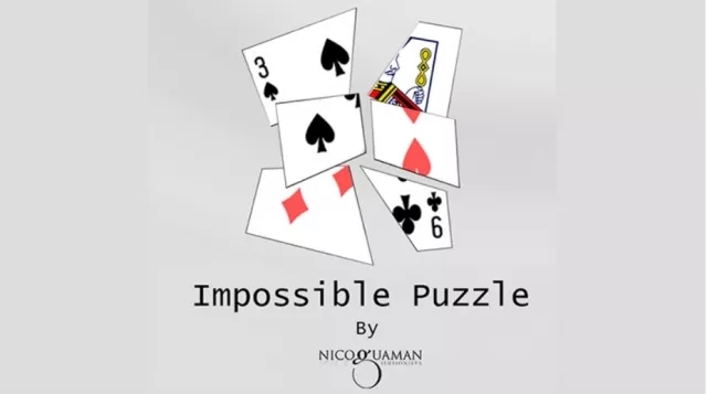 Impossible Puzzle by Nico Guaman
