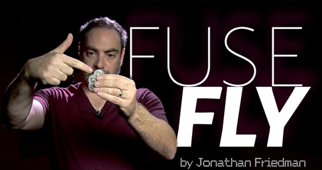 Fuse Fly by Jonathan Friedman - Click Image to Close