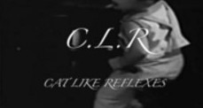 CLR by Dan Hauss - Click Image to Close