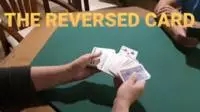 The Reversed Card by Emerson Rodrigues - Click Image to Close