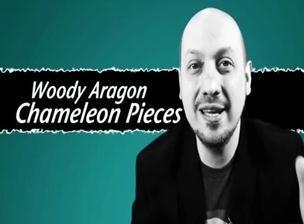 Woody Aragon - Chameleon Pieces - Click Image to Close