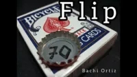 Flip by Bachi Ortiz - Click Image to Close