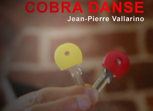 Dance Of The Cobra by Jean-Pier Vallarino - Click Image to Close