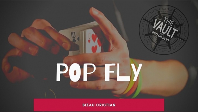 The Vault - Pop Fly by Bizau Cristian - Click Image to Close