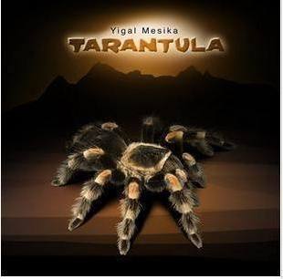 Yigal Mesika - Tarantula - Click Image to Close