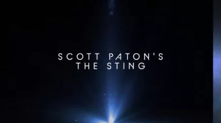 The Sting By Scott Paton - Click Image to Close