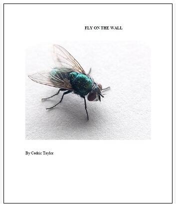 Cedric Taylor - Fly On The Wall - Click Image to Close