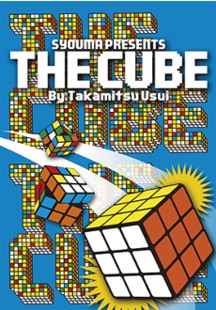Takamitsu Usui - The Cube - Click Image to Close