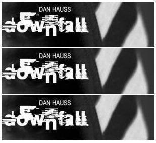 Dan Hauss - Downfall - Click Image to Close