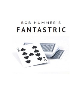 Fantastric - Bob Hummer - Click Image to Close