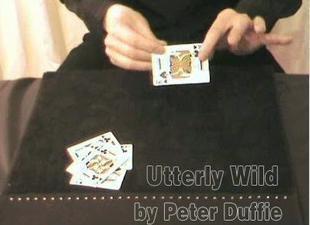 Peter Duffie - Utterly Wild - Click Image to Close