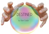 Destined by Dan Tudor